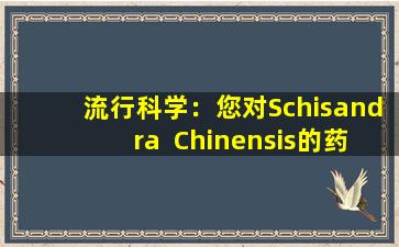 流行科学：您对Schisandra  Chinensis的药物影响有多少了解？
